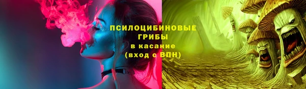 mdpv Костерёво