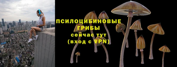 ГАЛЛЮЦИНОГЕННЫЕ ГРИБЫ Корсаков