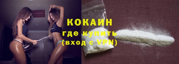 ГАЛЛЮЦИНОГЕННЫЕ ГРИБЫ Корсаков