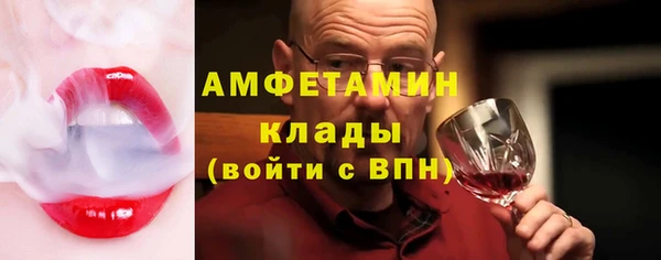 ГАЛЛЮЦИНОГЕННЫЕ ГРИБЫ Корсаков