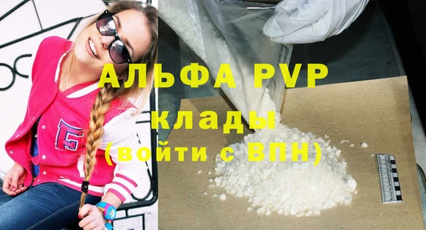 ГАЛЛЮЦИНОГЕННЫЕ ГРИБЫ Корсаков