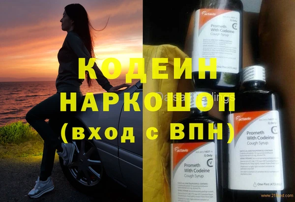ГАЛЛЮЦИНОГЕННЫЕ ГРИБЫ Корсаков