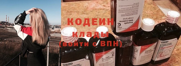 ГАЛЛЮЦИНОГЕННЫЕ ГРИБЫ Корсаков