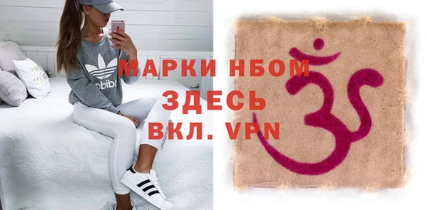 ГАЛЛЮЦИНОГЕННЫЕ ГРИБЫ Корсаков