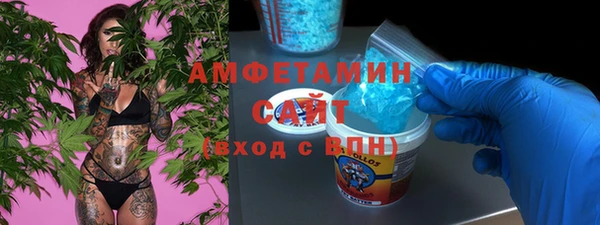 ГАЛЛЮЦИНОГЕННЫЕ ГРИБЫ Корсаков