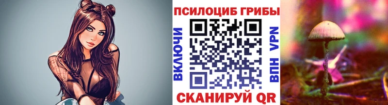Галлюциногенные грибы Psilocybine cubensis  Монино 